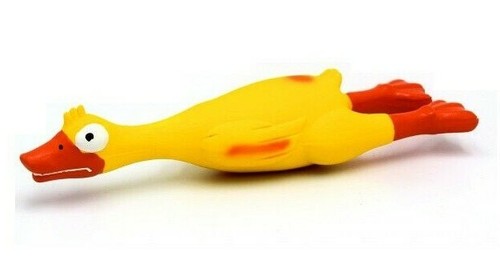Dog chew toy duck - chew,