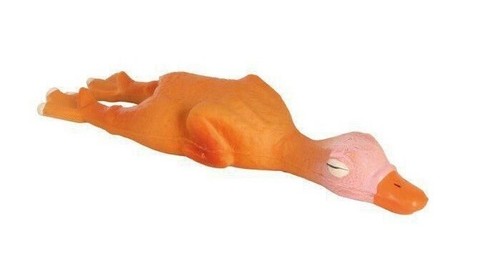 Dog latex toy - duck, dental