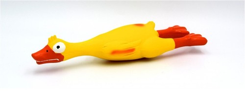 Large latex duck 24cm for - large,