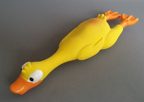 Latex yellow duck dog - latex, toy